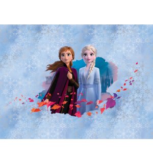 Fototapeta vliesová: Frozen II (Anna & Elsa) - 360x270 cm