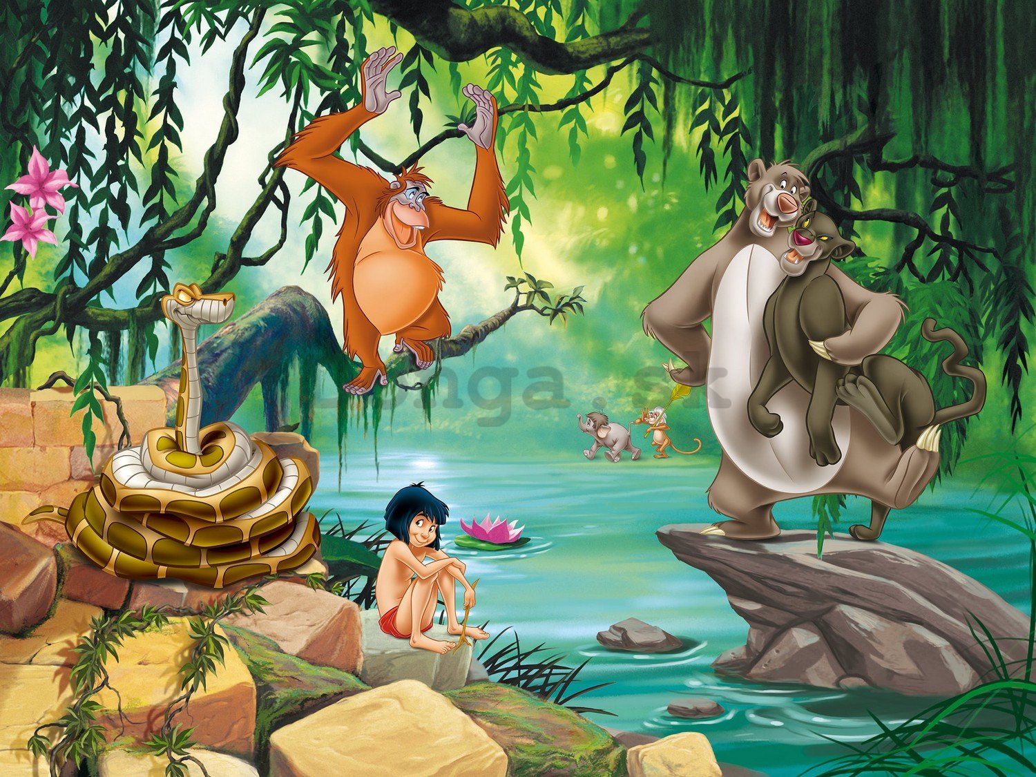 Fototapeta vliesová: The Jungle Book - 360x270 cm