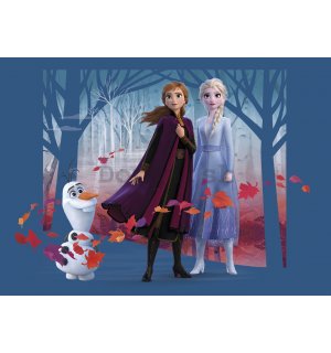 Fototapeta vliesová: Frozen II Sisters (1) - 160x110 cm