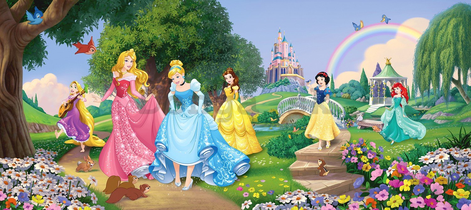 Fototapeta vliesová: Disney princess (panorama)  - 202x90 cm