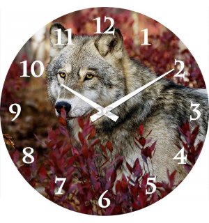 Nástenné sklenené hodiny: Vlk - 38 cm