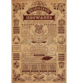 Plagát - Harry Potter (Quidditch At Hogwarts) 