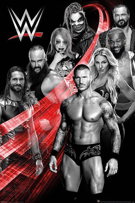 Plagát - WWE (Superstars Swoosh) 