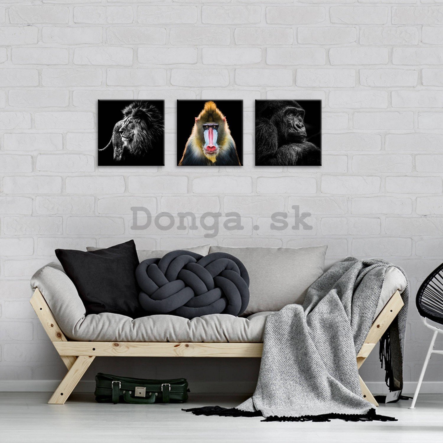 Obraz na plátne: Lev, Mandril a Gorila - set 3ks 25x25cm