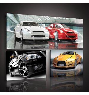 Obraz na plátne: Športové autá - set 1ks 80x30 cm a 2ks 37,5x24,8 cm