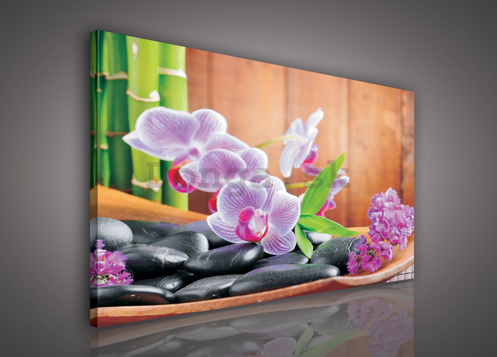 Obraz na plátne: Orchidea (1) - 80x60 cm