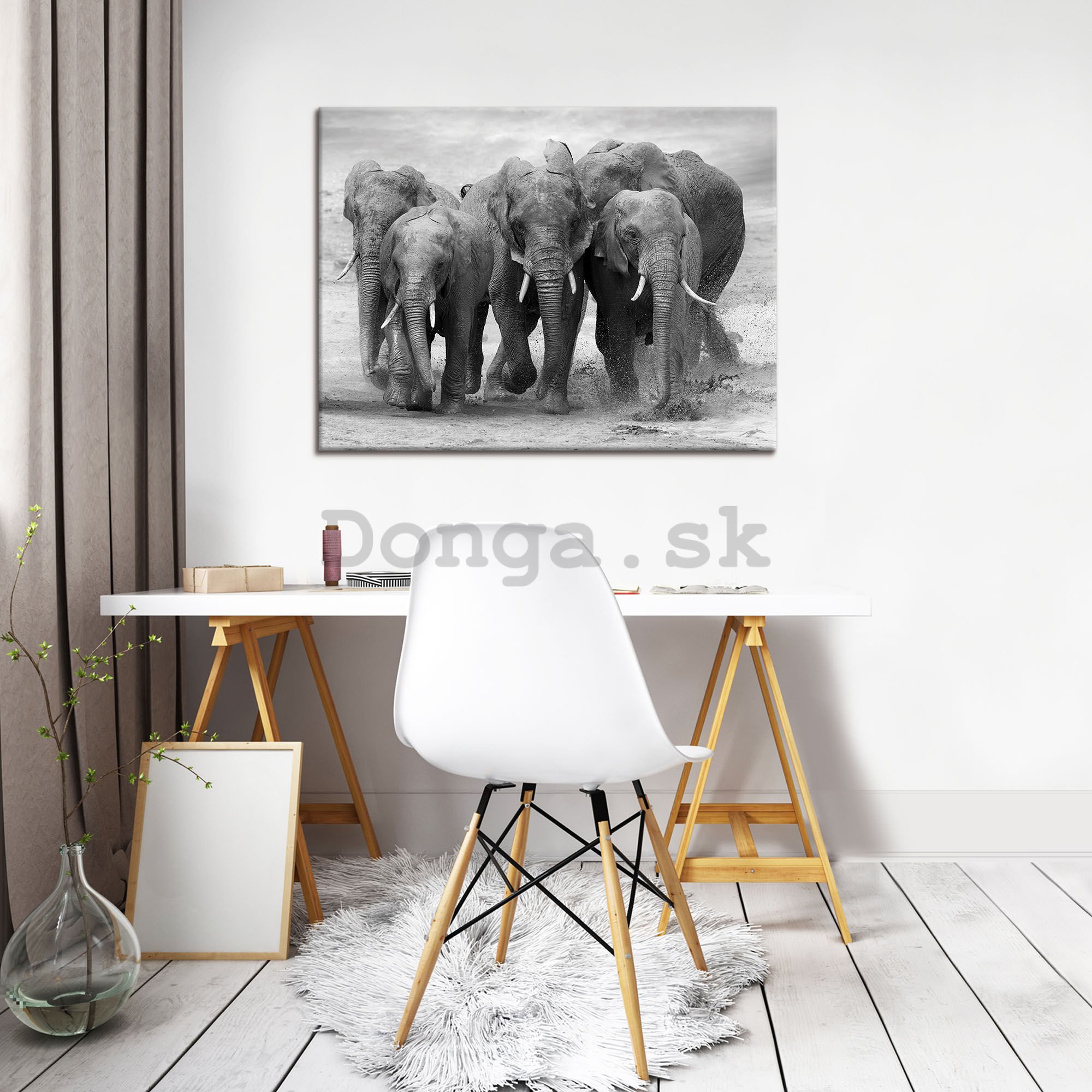 Obraz na plátne: Slony - 80x60 cm