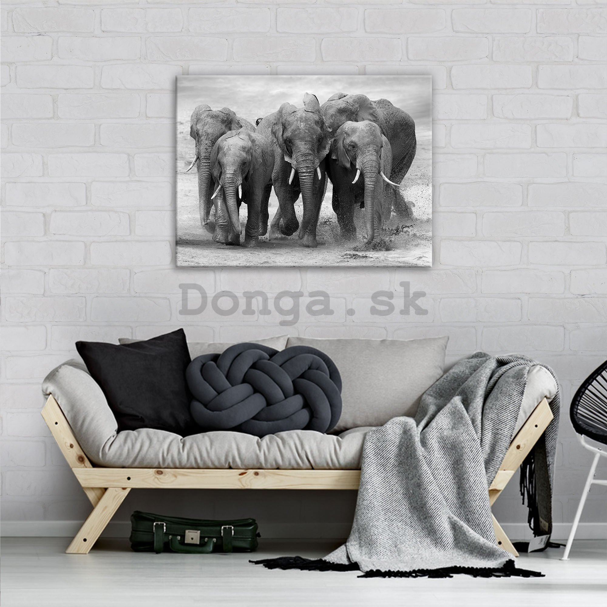 Obraz na plátne: Slony - 80x60 cm