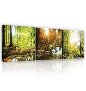 Obraz na plátne: Lesný potok - set 3ks 25x25cm