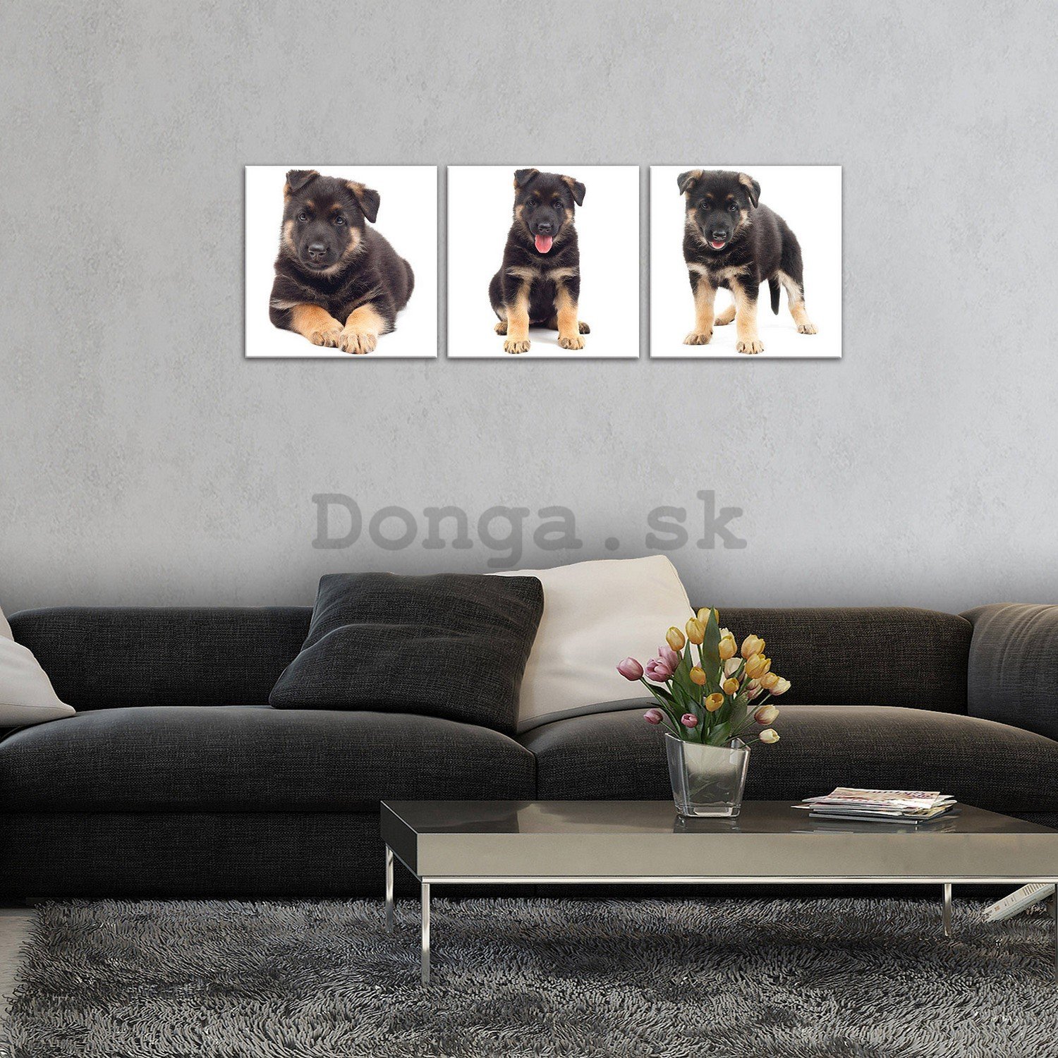 Obraz na plátne: Čierne šteňa - set 3ks 25x25cm