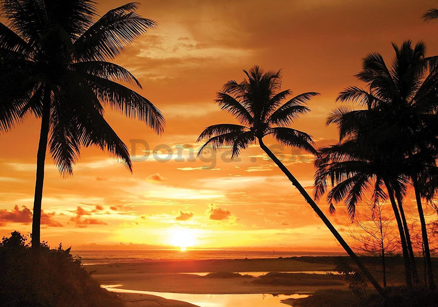 Fototapeta: Tropický západ slnka - 368x254 cm