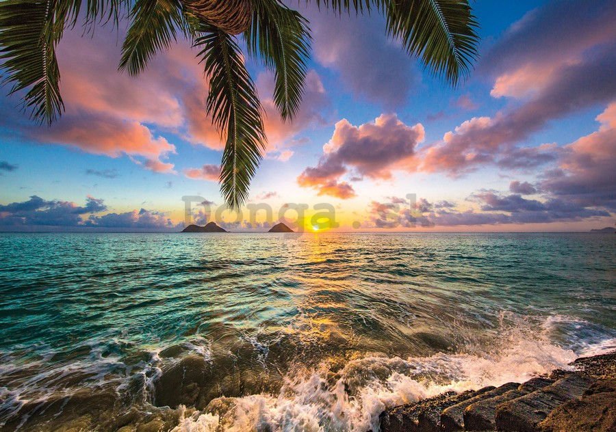 Fototapeta vliesová: Tropický raj (3) - 104x70,5cm