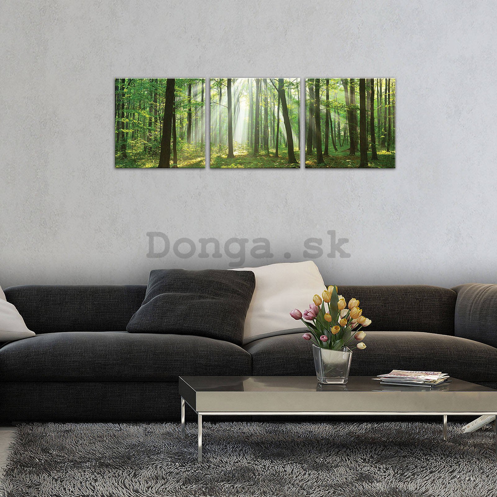 Obraz na plátne: Slnko v lese (3) - set 3ks 25x25cm