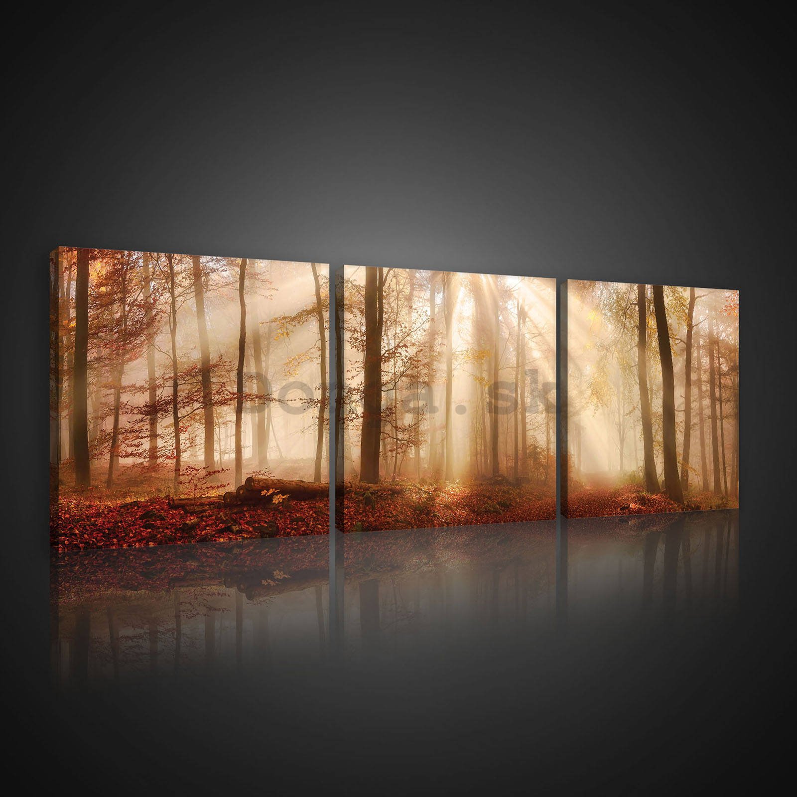 Obraz na plátne: Lesné svitanie - set 3ks 25x25cm