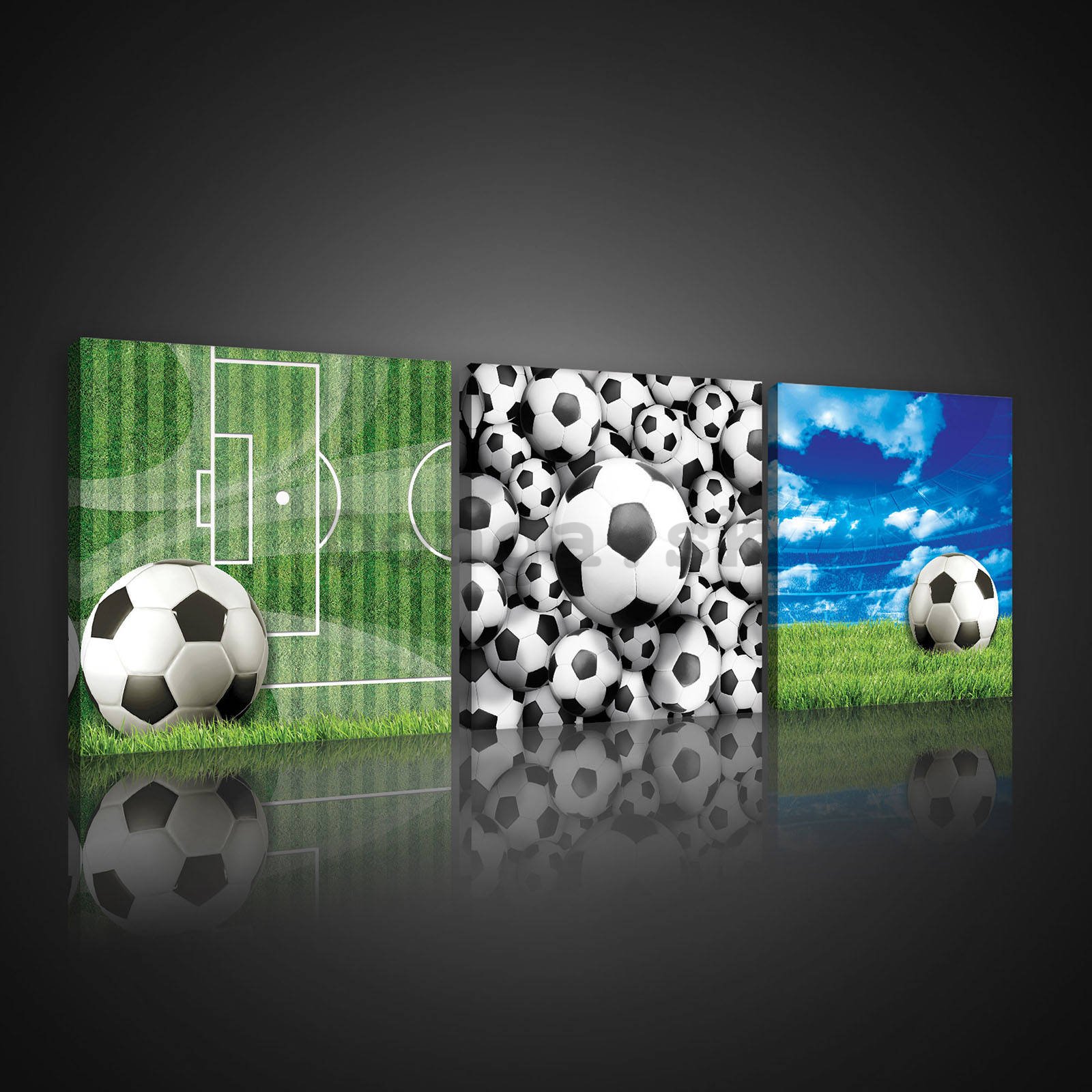 Obraz na plátne: Futbalové lopty - set 3ks 25x25cm