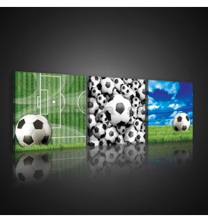 Obraz na plátne: Futbalové lopty - set 3ks 25x25cm