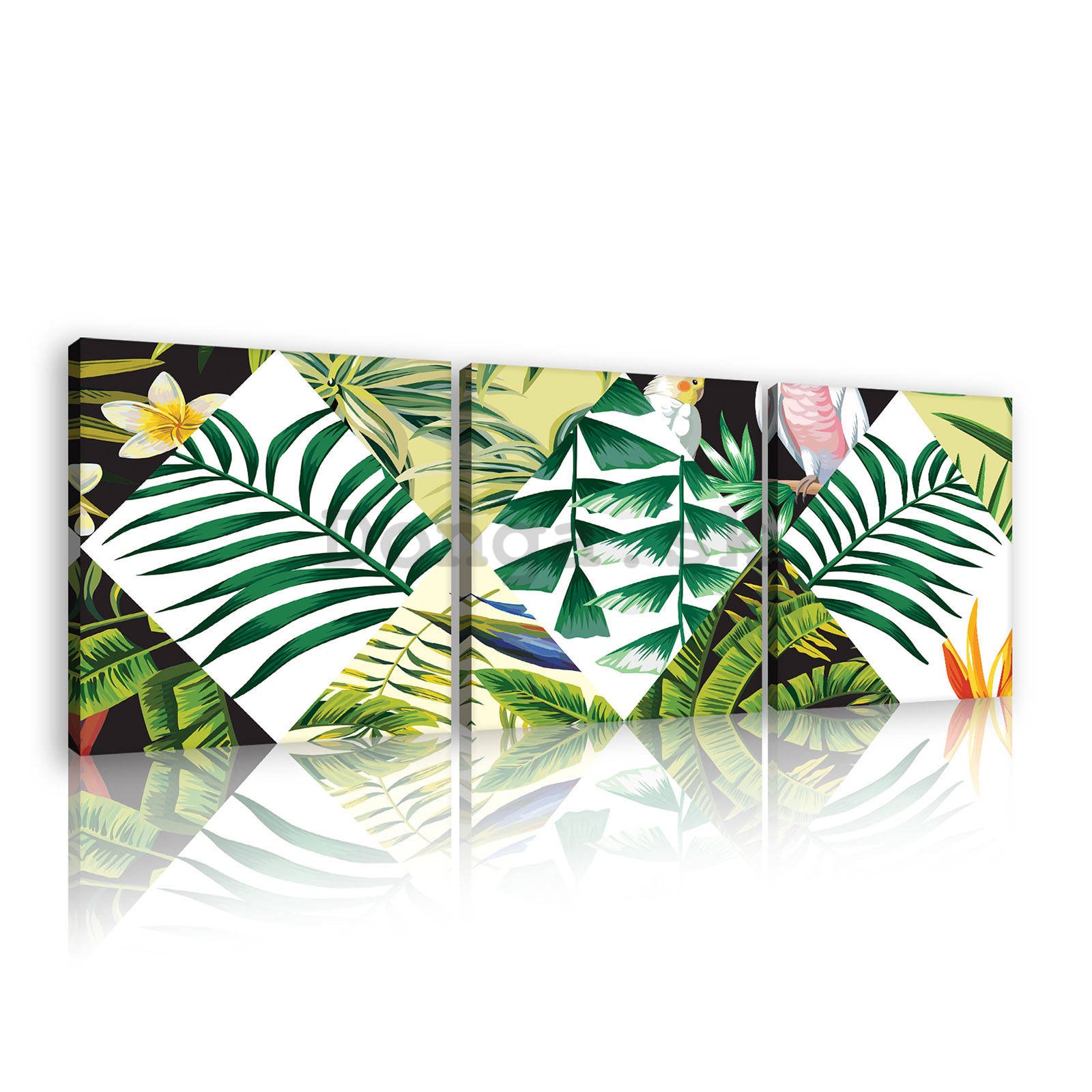 Obraz na plátne: Maľovaná tropická flóra (2) - set 3ks 25x25cm