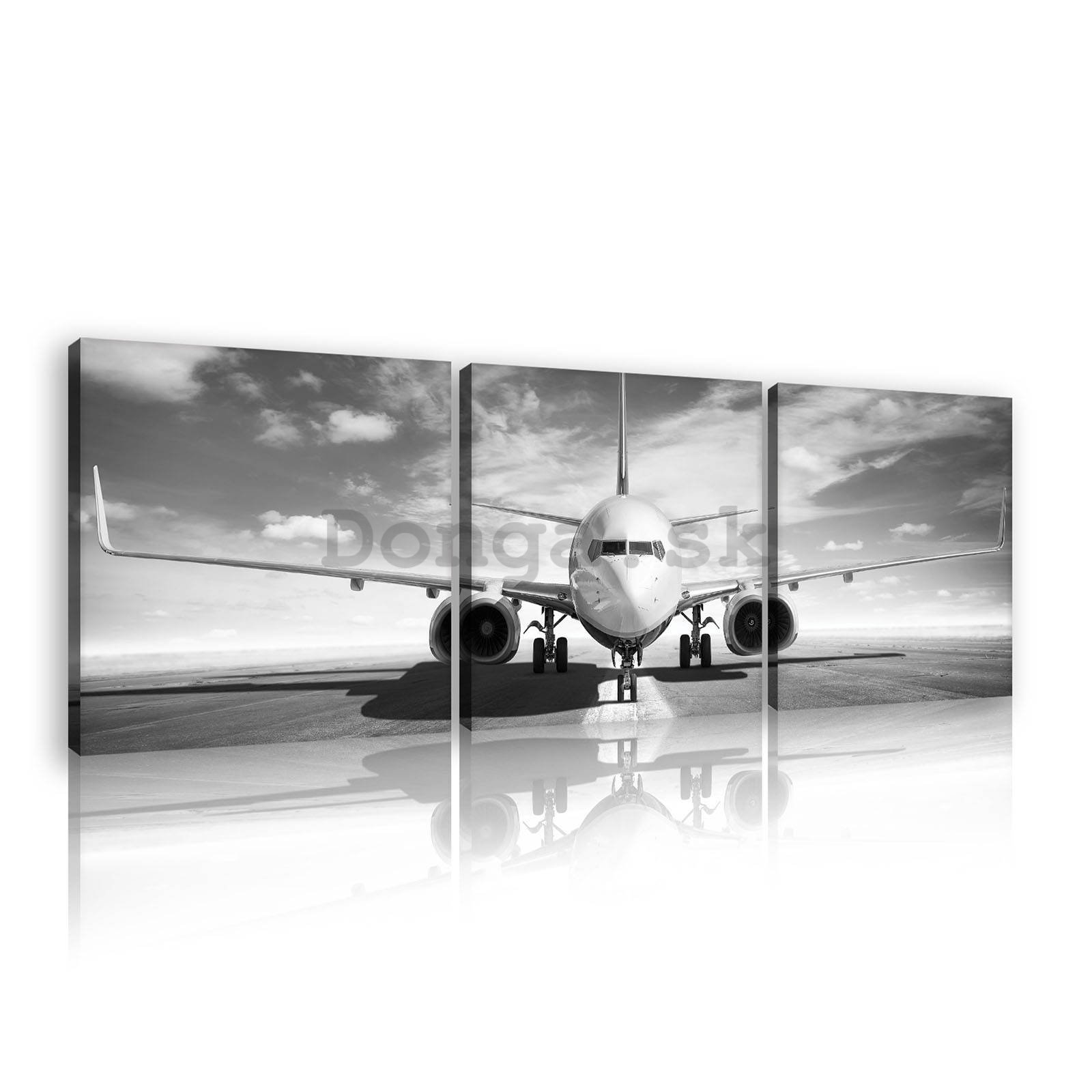 Obraz na plátne: Prúdové lietadlo (čiernobiele) - set 3ks 25x25cm