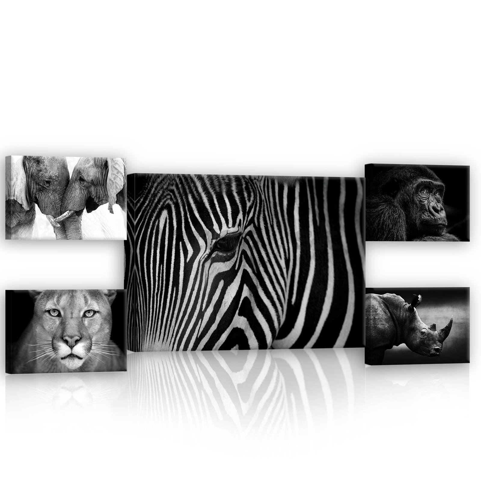 Obraz na plátne: Čiernobiela zvieratá (2) - set 1ks 70x50 cm a 4ks 32,4x22,8 cm