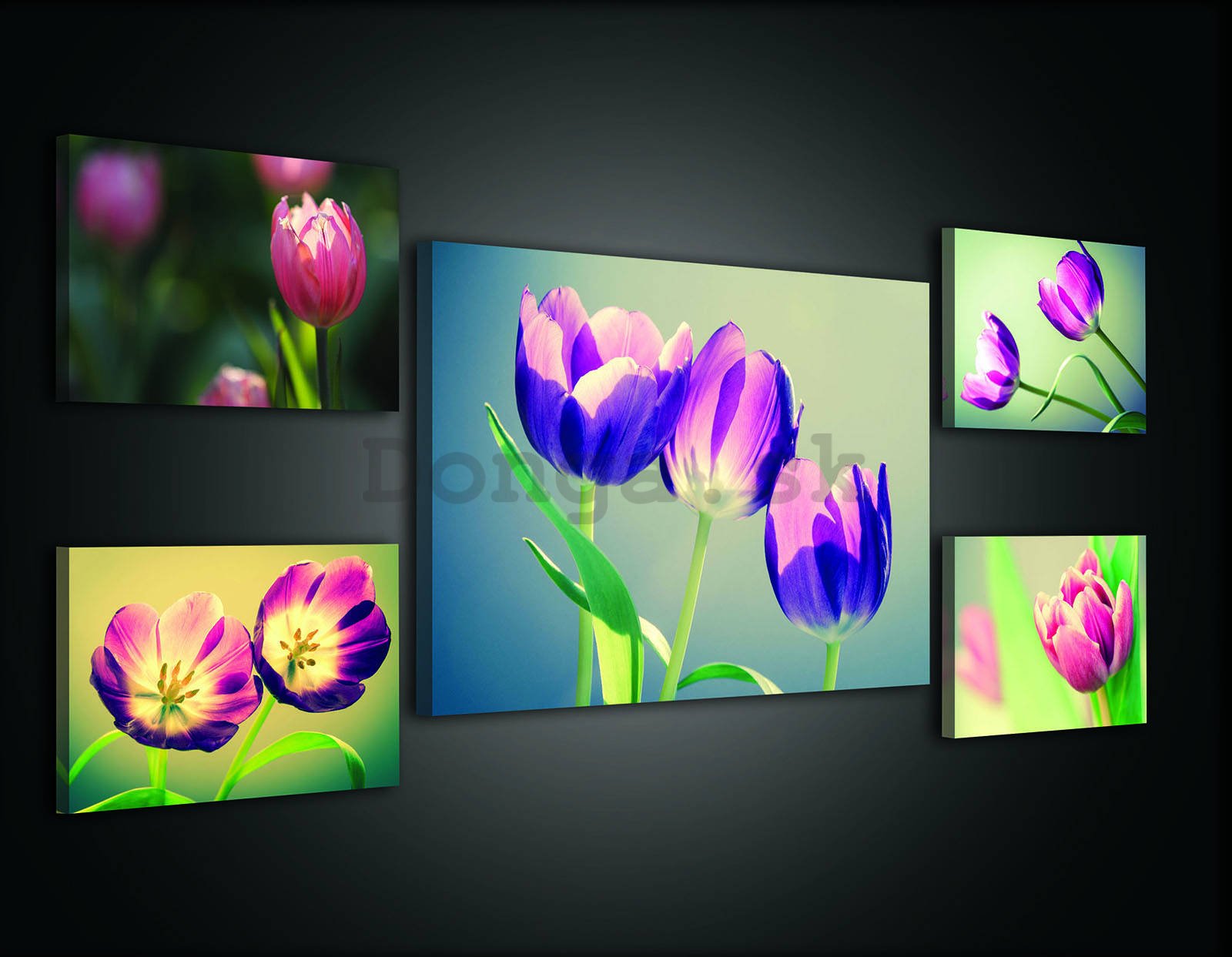 Obraz na plátne: Tulipány (2)  - set 1ks 70x50 cm a 4ks 32,4x22,8 cm