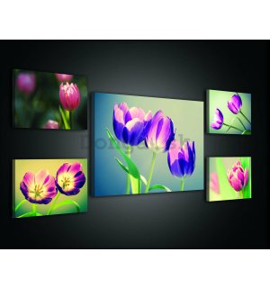 Obraz na plátne: Tulipány (2)  - set 1ks 70x50 cm a 4ks 32,4x22,8 cm