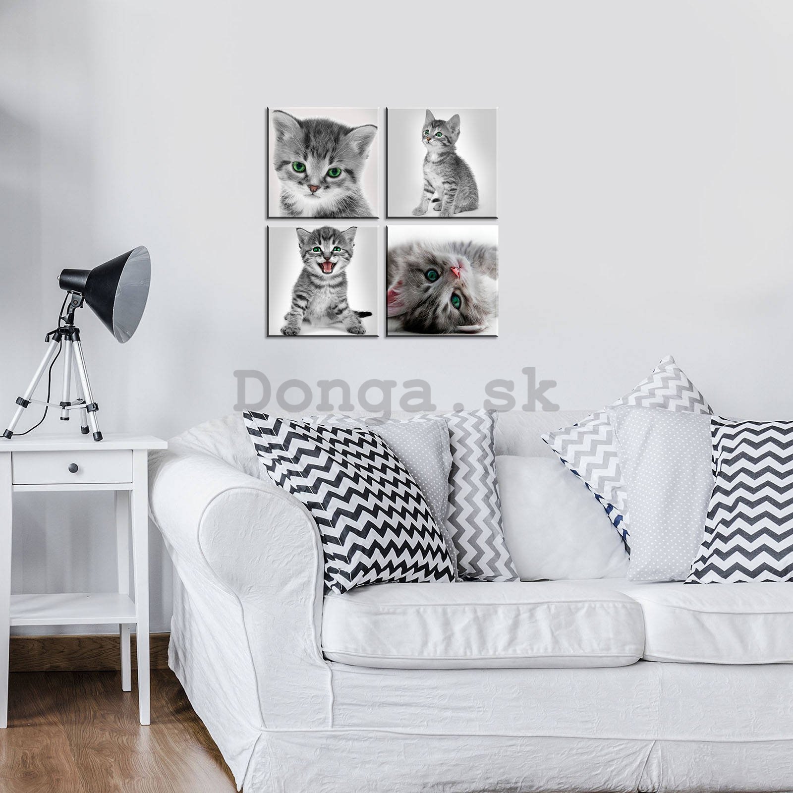 Obraz na plátne: Mačiatko (1) - set 4ks 25x25cm
