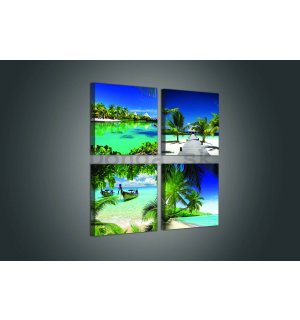 Obraz na plátne: Tropický ráj - set 4ks 25x25cm