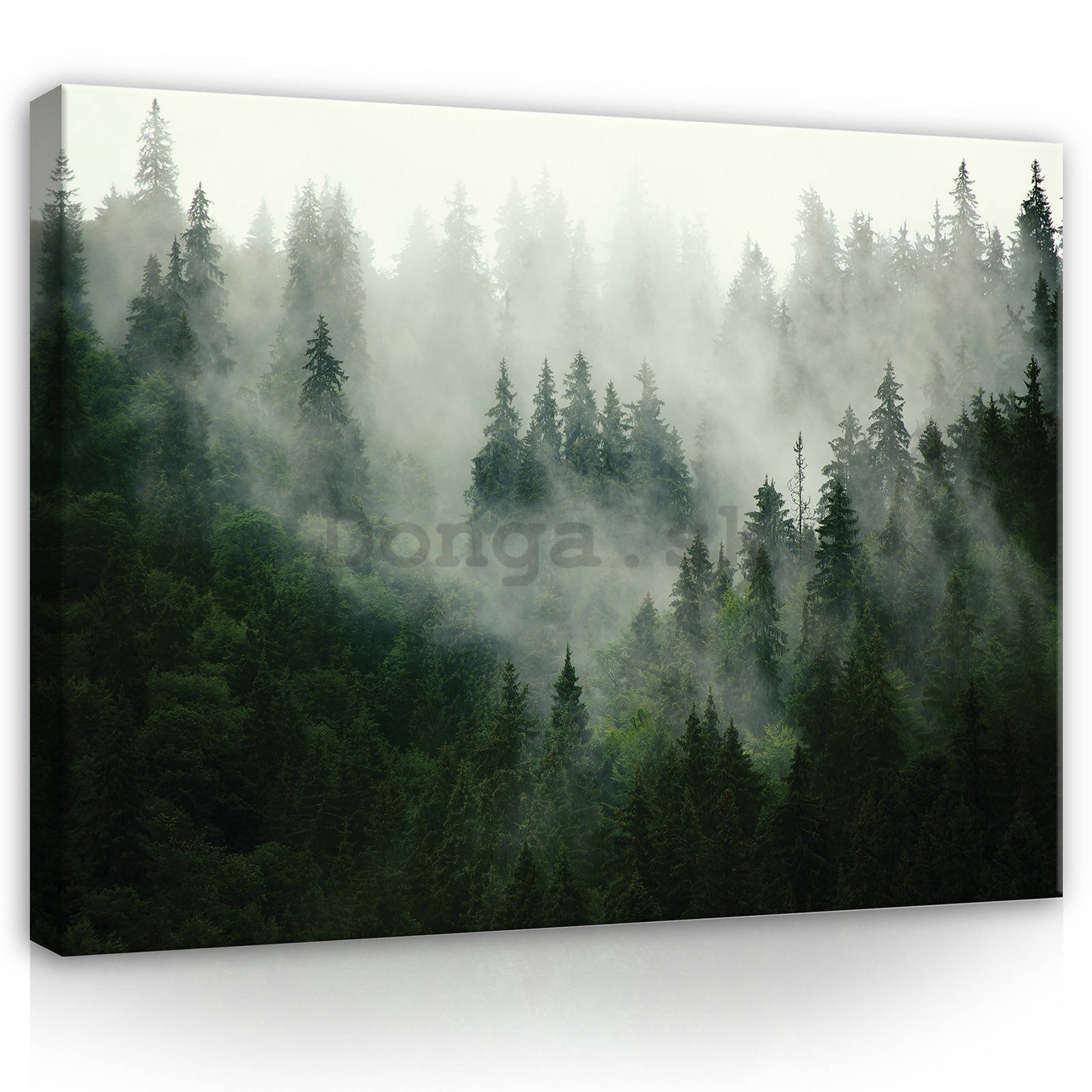 Obraz na plátne: Hmla nad lesom (1) - 100x75 cm