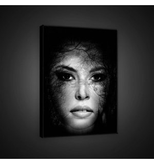Obraz na plátne: Tajomná žena (1) - 60x80 cm