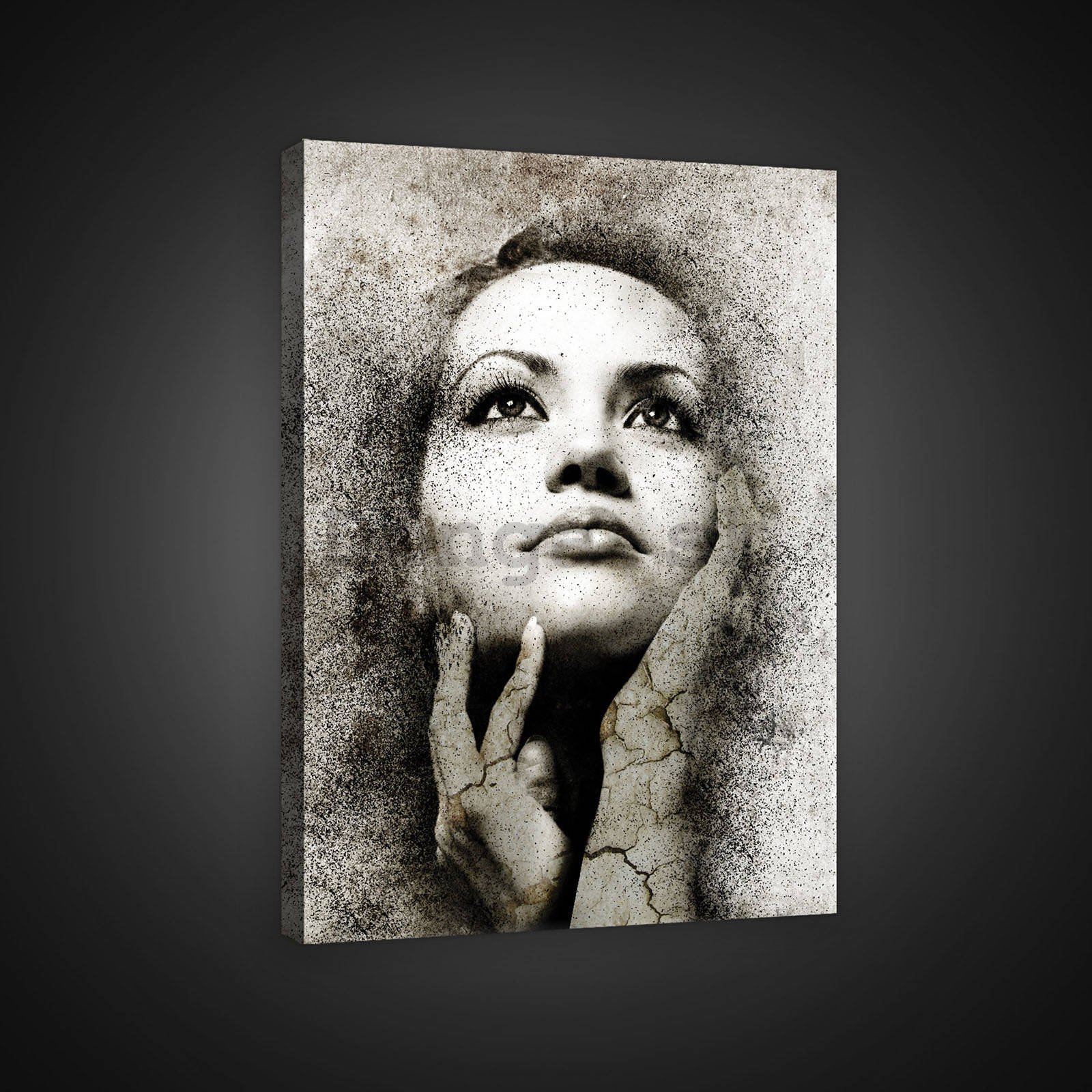 Obraz na plátne: Portrét ženy (1) - 60x80 cm
