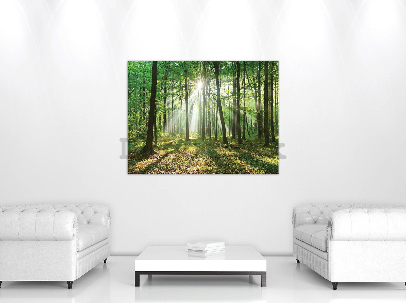 Obraz na plátne: Slnko v lese (3) - 80x60 cm