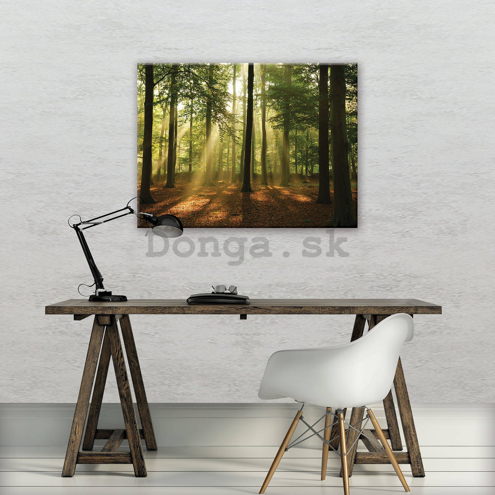 Obraz na plátne: Slnko v lese (4) - 80x60 cm