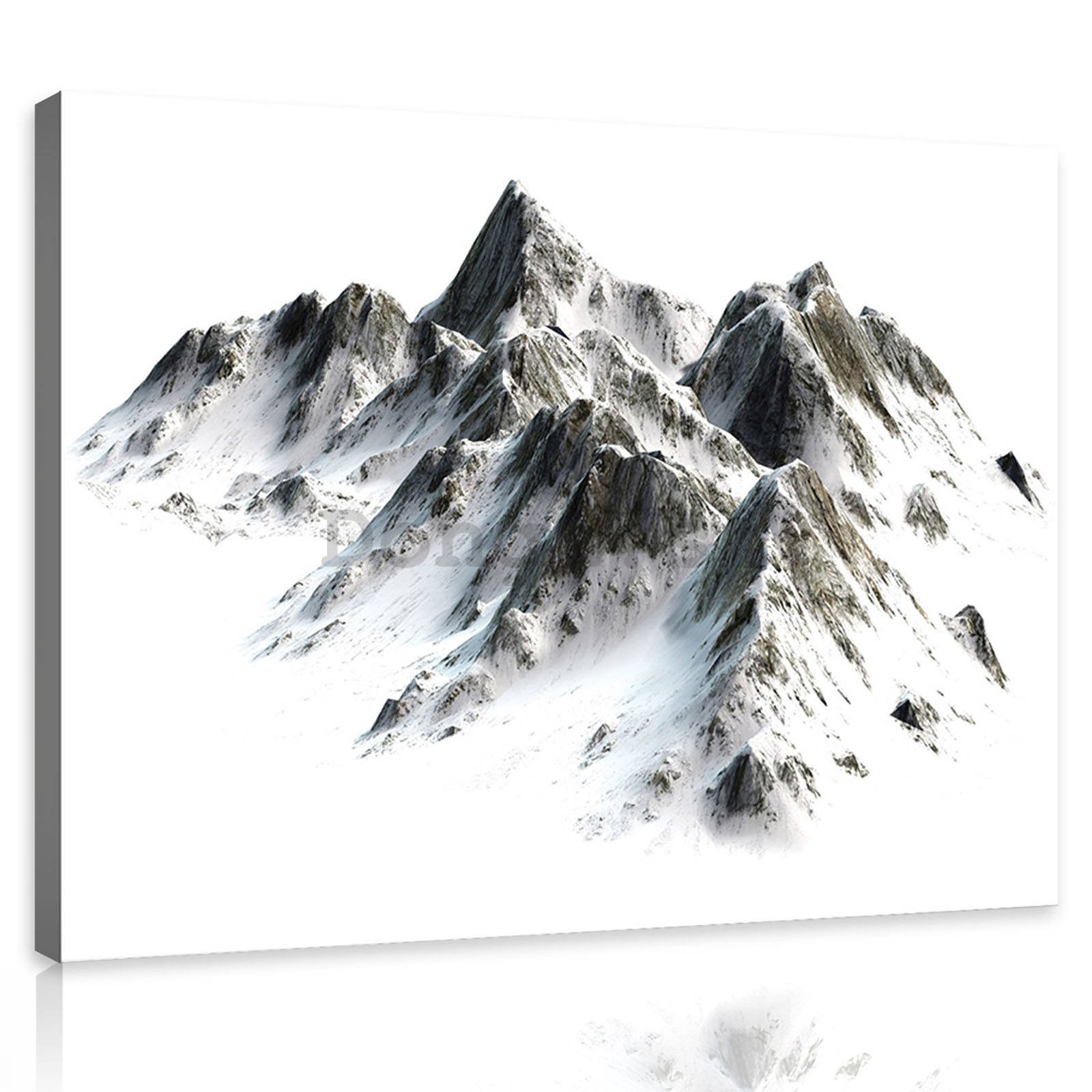 Obraz na plátne: Zasnežené hory - 80x60 cm