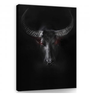 Obraz na plátne: Čierny býk - 60x80 cm
