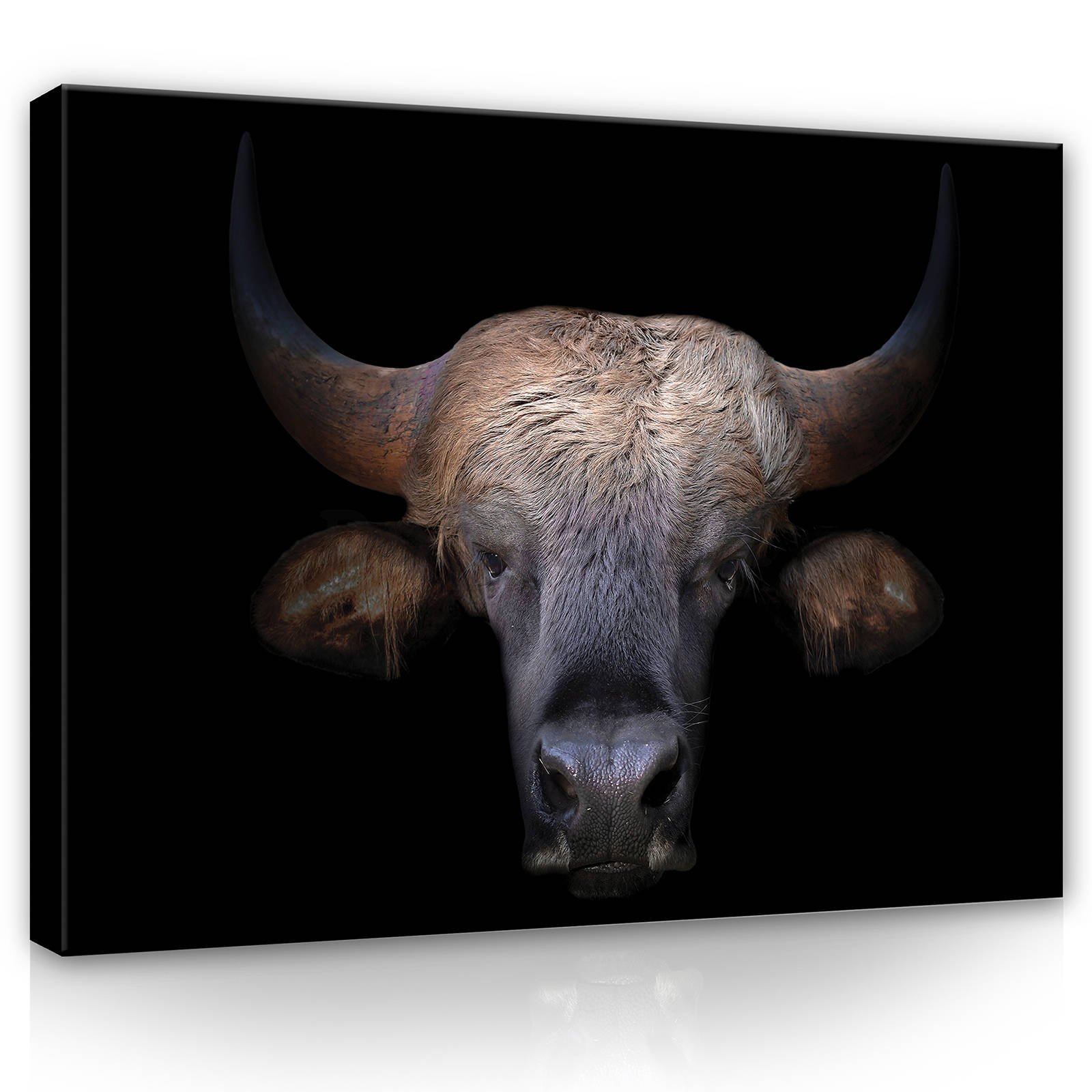 Obraz na plátne: Býk (1) - 80x60 cm