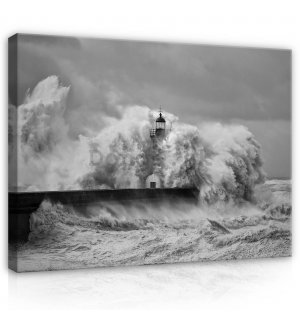 Obraz na plátne: Prívalová vlna (1) - 80x60 cm