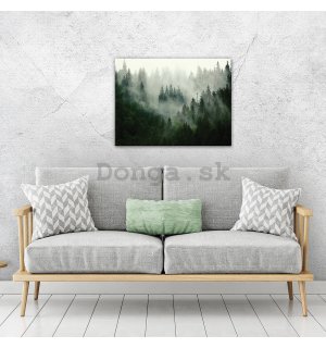 Obraz na plátne: Hmla nad lesom (1) - 80x60 cm