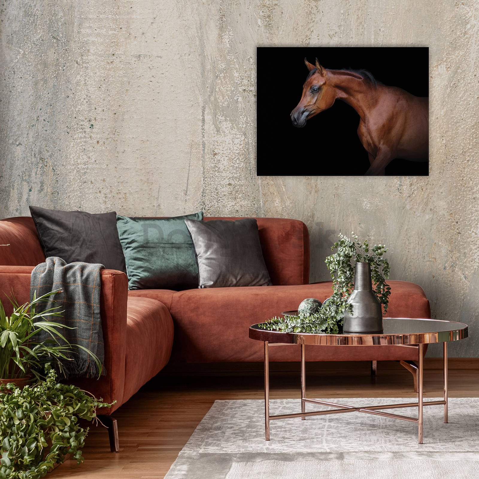 Obraz na plátne: Kôň (3) - 80x60 cm