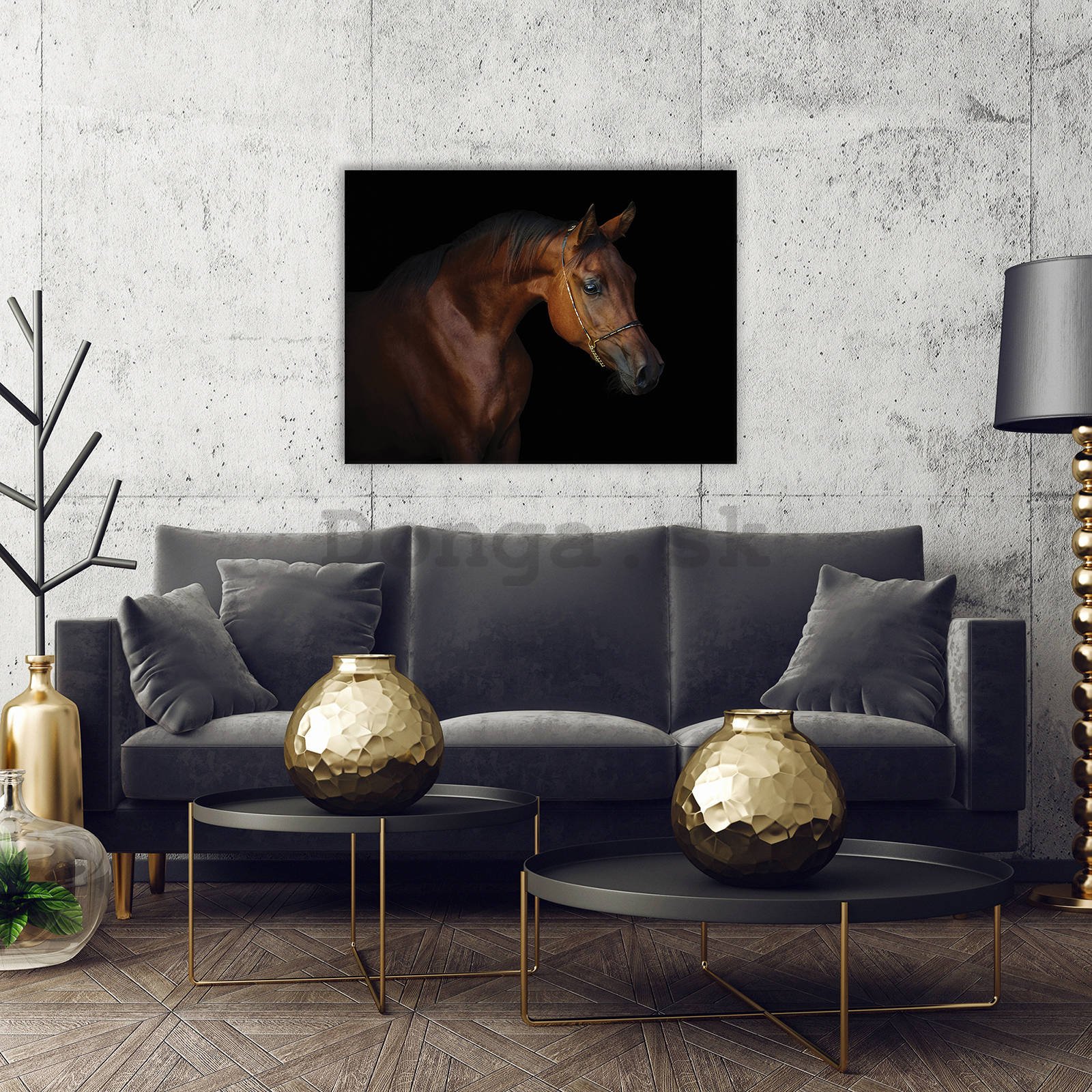 Obraz na plátne: Kôň (4) - 80x60 cm