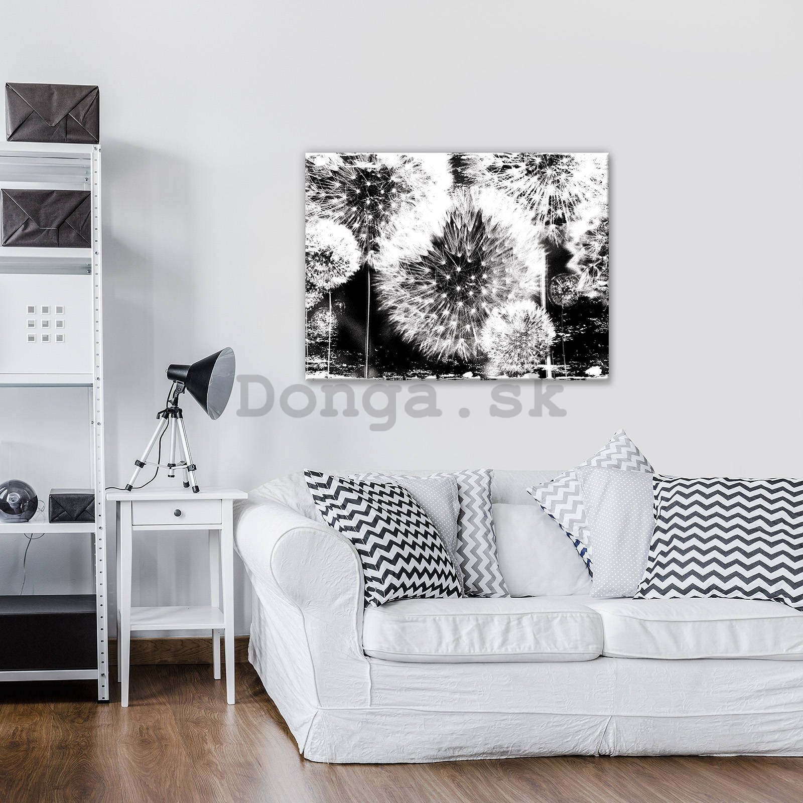 Obraz na plátne: Púpavy (čiernobiele) - 80x60 cm