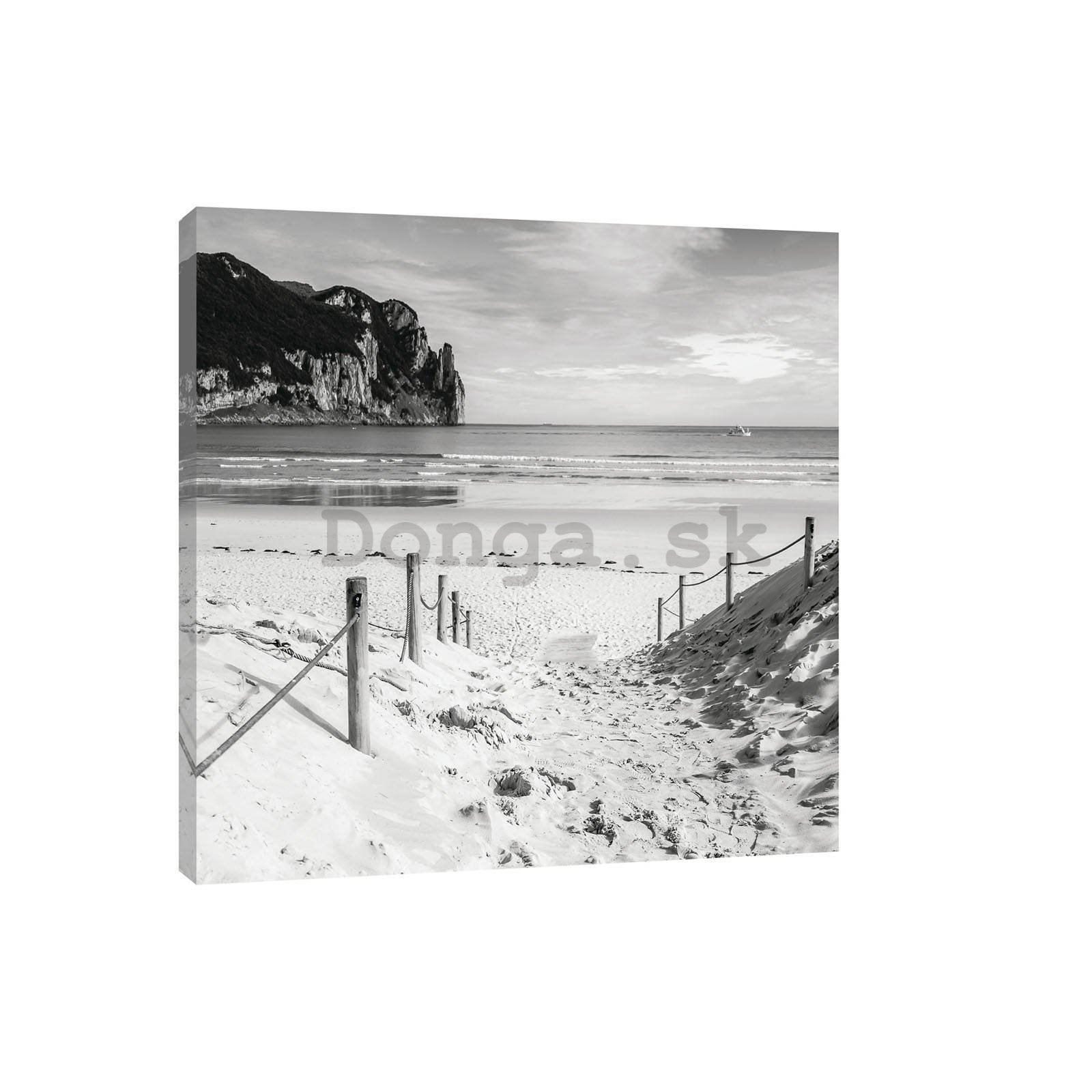 Obraz na plátne: Piesková pláž (čiernobiela) - 80x60 cm