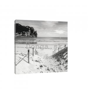 Obraz na plátne: Piesková pláž (čiernobiela) - 80x60 cm