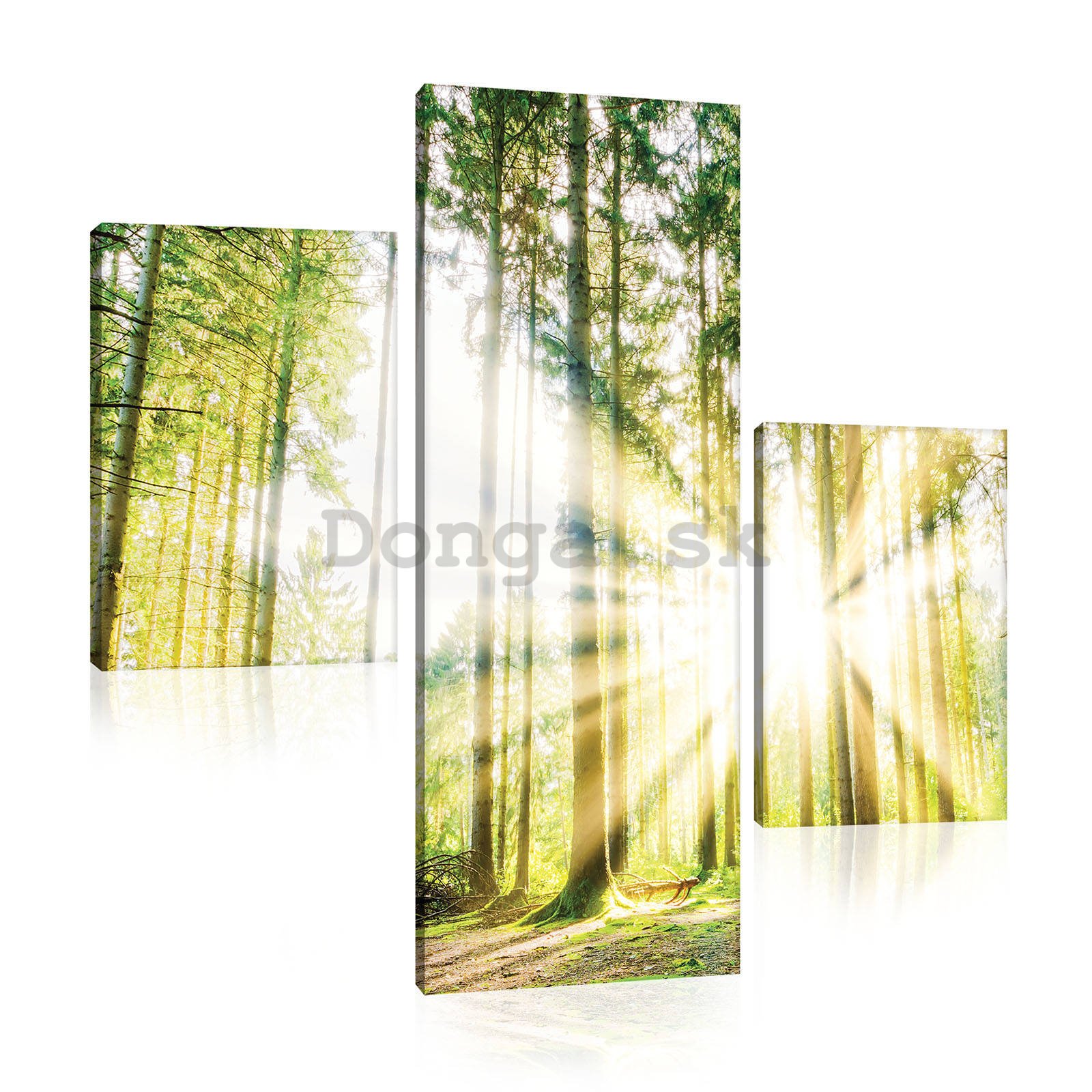 Obraz na plátne: Slnko v lese (2) - set 1ks 80x30 cm a 2ks 37,5x24,8 cm