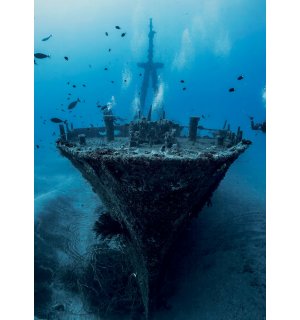Fototapeta: Podmorský vrak - 184x254 cm