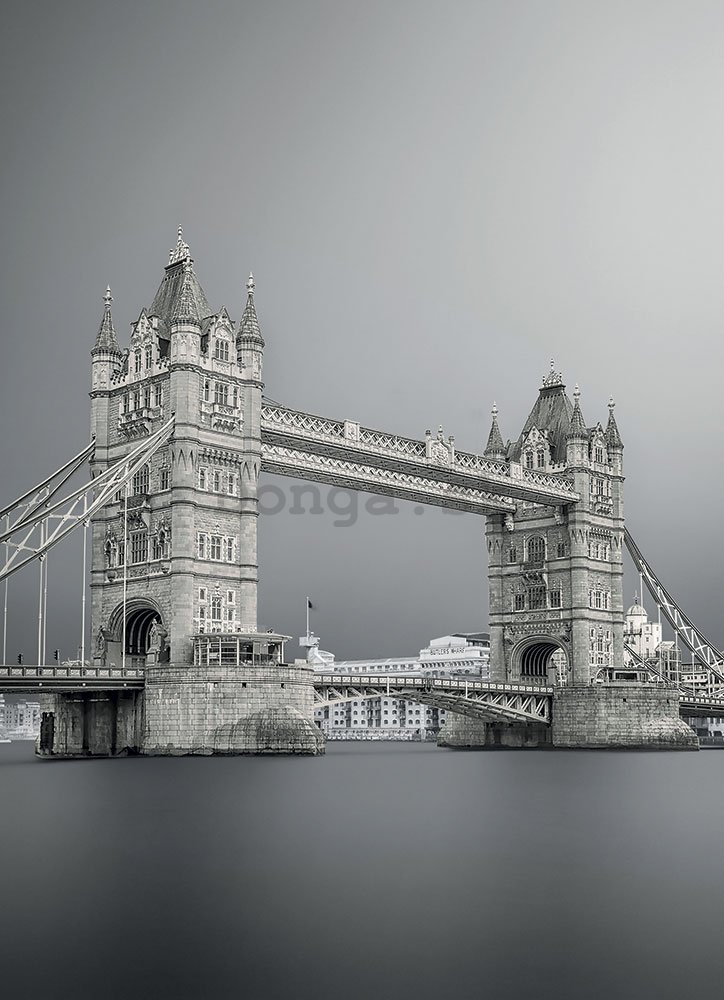 Fototapeta: Šedivý Tower Bridge - 184x254 cm