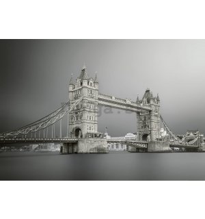 Fototapeta vliesová: Šedivý Tower Bridge - 254x368 cm