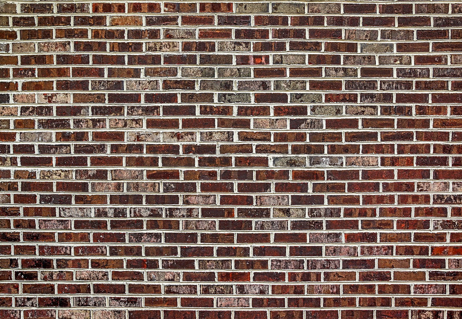 Fototapeta vliesová: Tehlová múr (6) - 254x368 cm