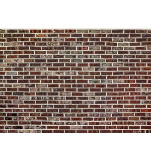 Fototapeta vliesová: Tehlová múr (6) - 254x368 cm