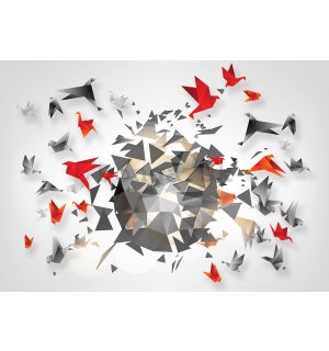 Fototapeta vliesová: Origami - 416x254 cm