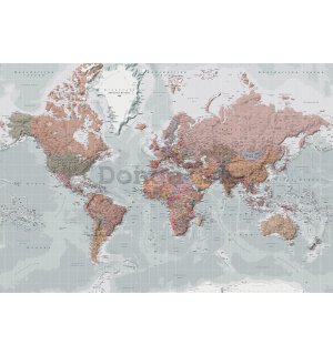 Fototapeta: Mapa sveta (5) - 368x254 cm
